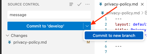 CommitToNewBranch.png